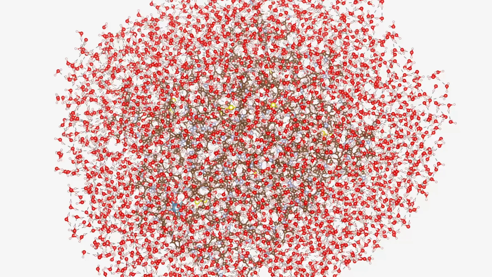 Visualisation officielle de la protéine de 12 635 atomes étudiée par IBM, RIKEN et Cleveland Clinic
