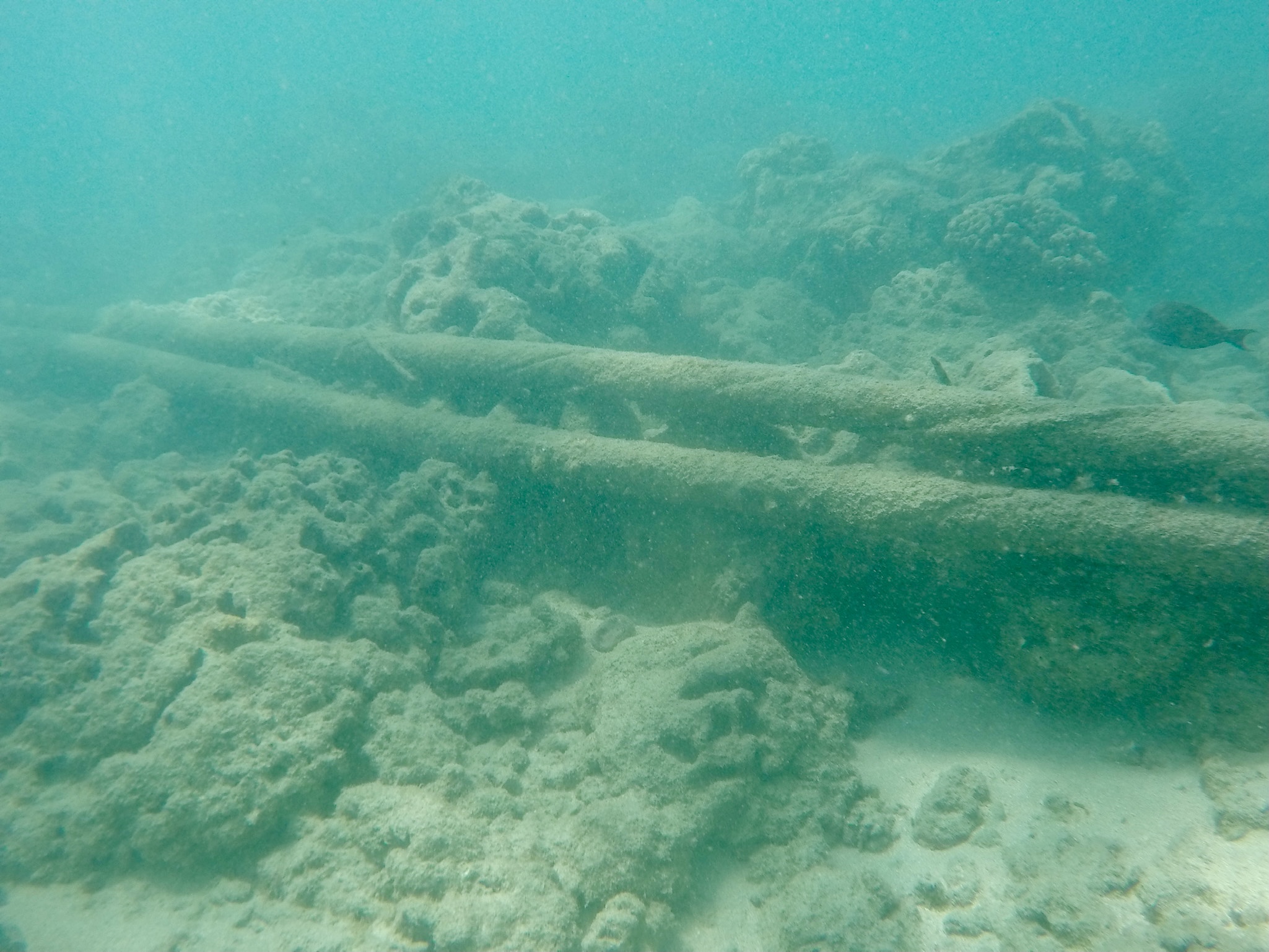 Anciens câbles téléphoniques HAW-1 sur les fonds marins de Hanauma Bay à Hawaï, photographie d’archive de 2021.