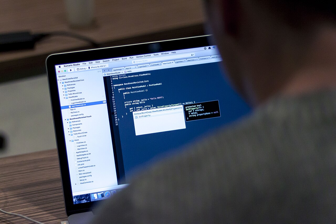 Personne travaillant sur du code affiché sur un ordinateur portable, photo d’illustration de 2016.