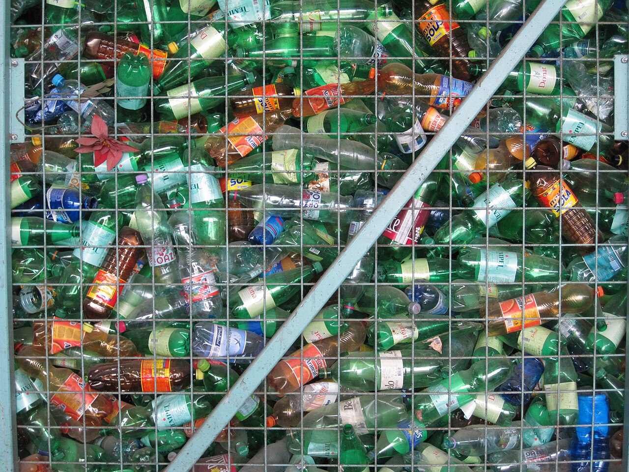 Bouteilles en plastique triées à Ptuj en Slovénie, photo d’illustration d’archive